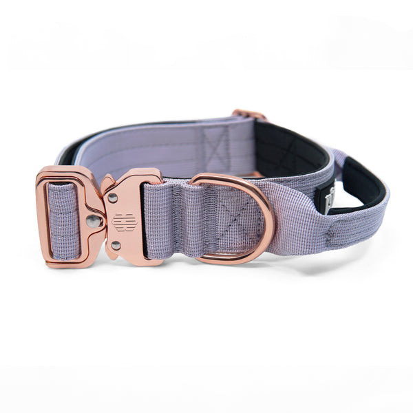 K9-TAC Violet Purple heavy-duty dog collar with secure metal buckle, wide black webbing, and strong D-ring.