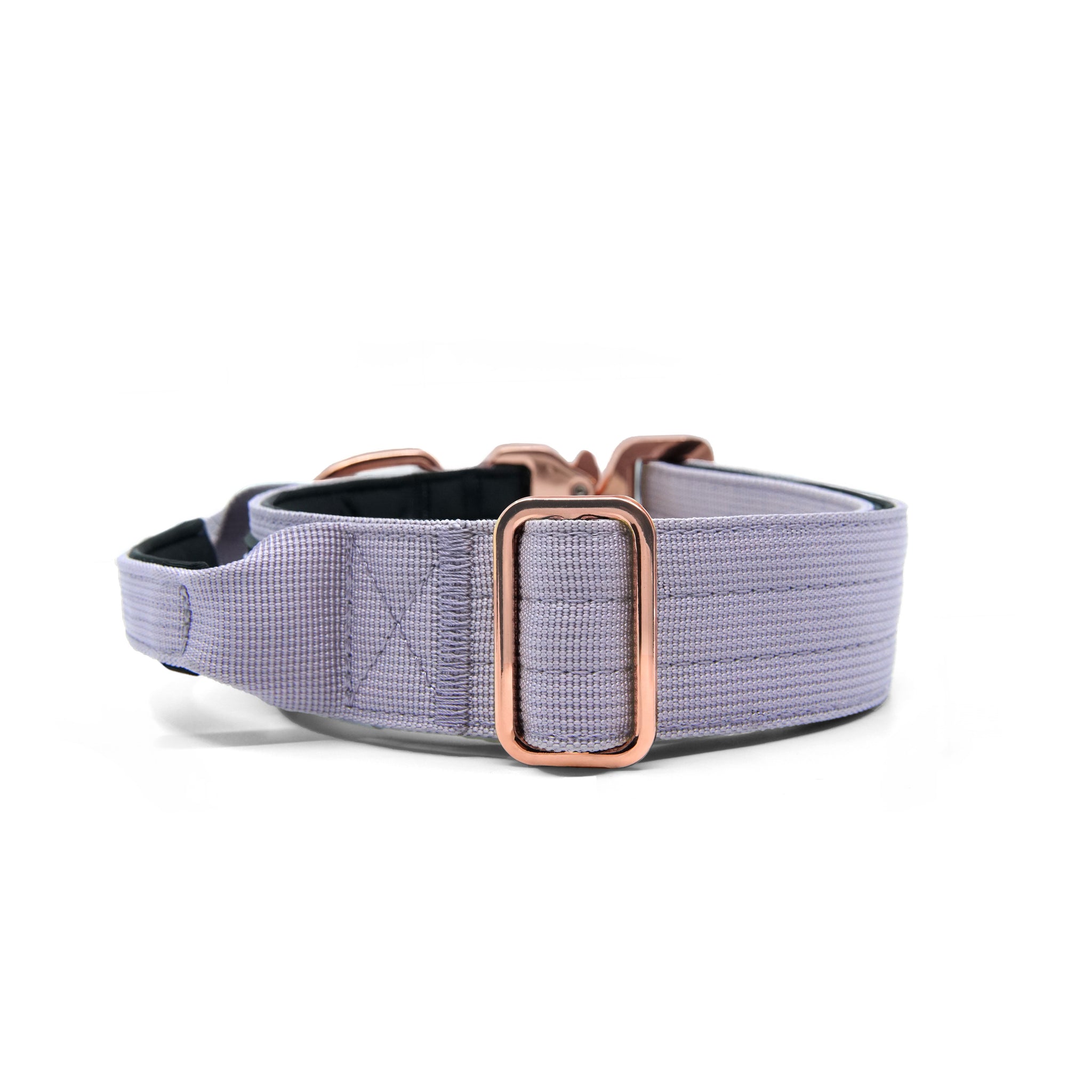 K9-TAC Collar – Violet Purple
Dog collar with heavy-duty nylon webbing and close-up of adjustable metal slider.